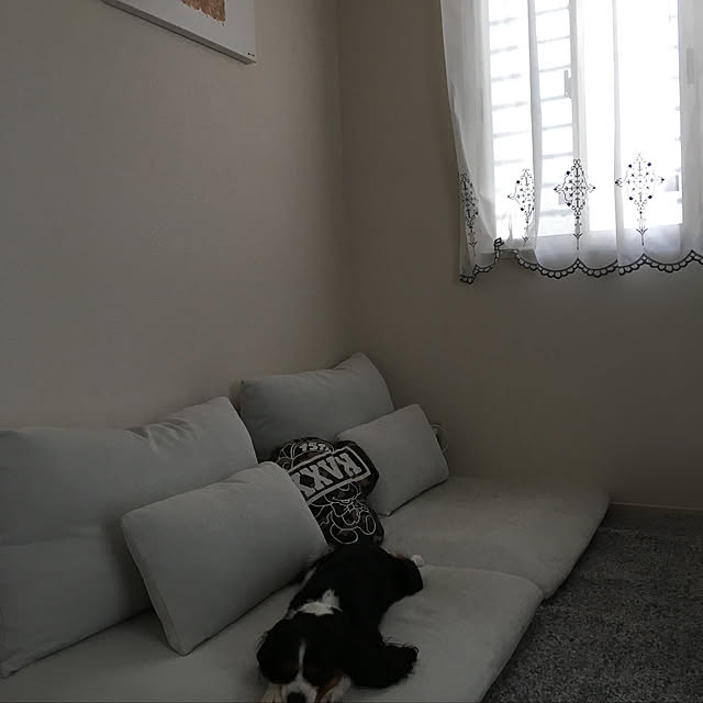 IKEA/北欧/リビングのインテリア実例 - 2019-04-21 03:59:00