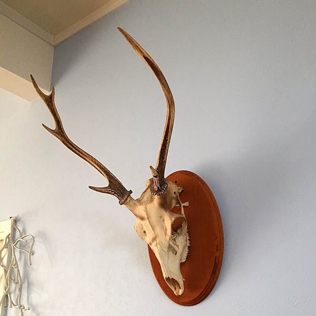 fukatoko55さんの実例写真