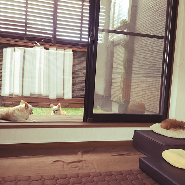 splush1219さんの実例写真