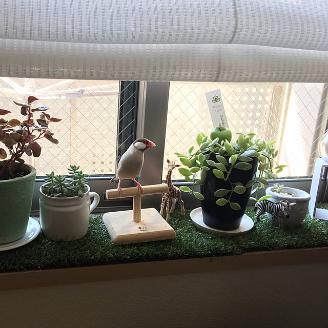 cps___mさんの実例写真