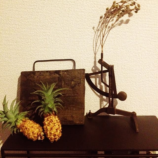 shamogさんの実例写真