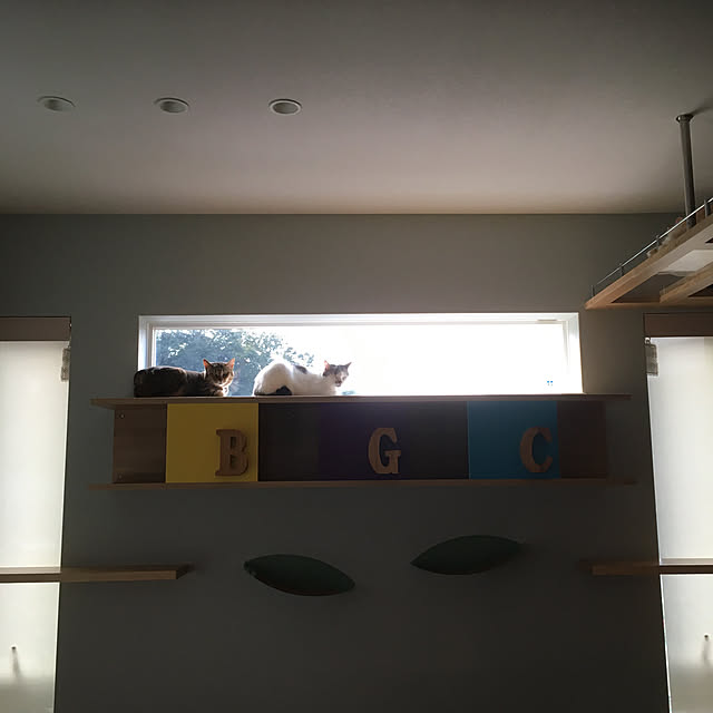 nyancohomeさんの実例写真