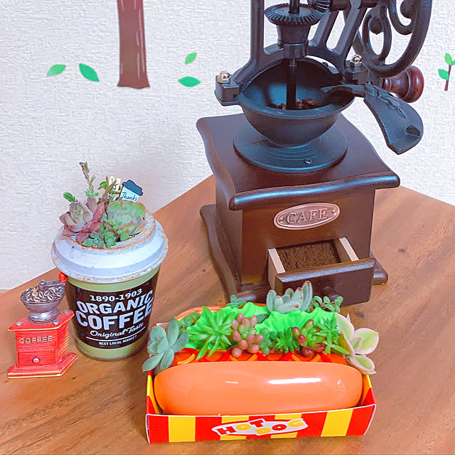 hana4504さんの実例写真