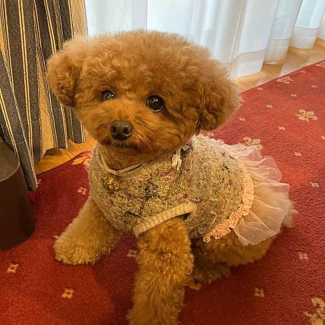 Yumiさんの実例写真