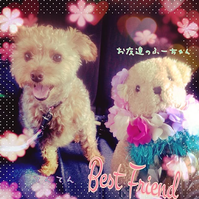 yさんの実例写真