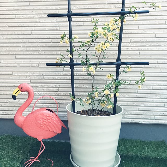 keiさんの実例写真