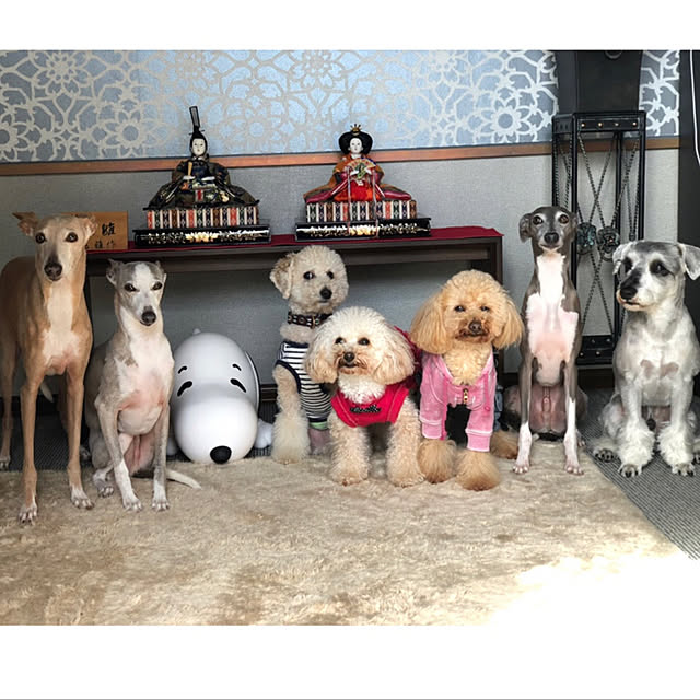 ruuramuさんの実例写真