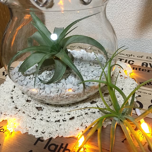 reoreomamaさんの実例写真