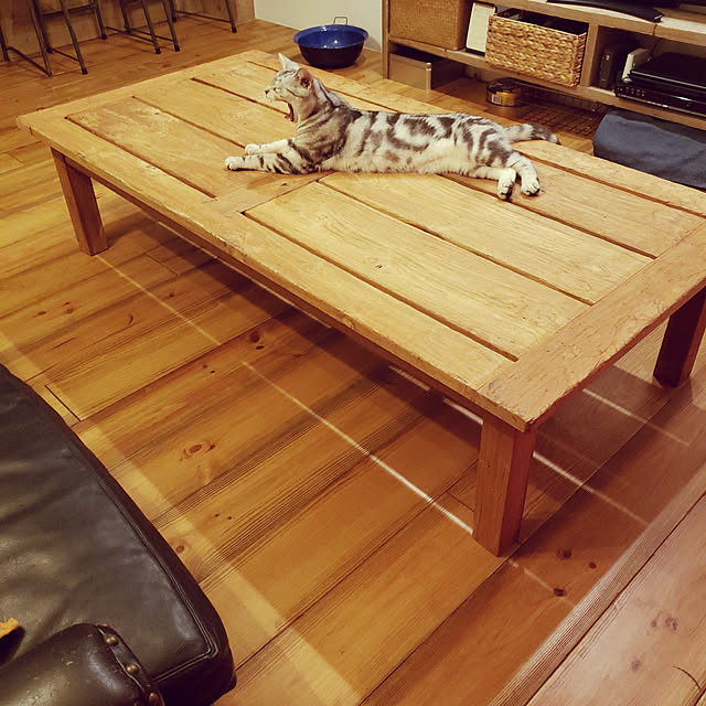 hajiroさんの実例写真