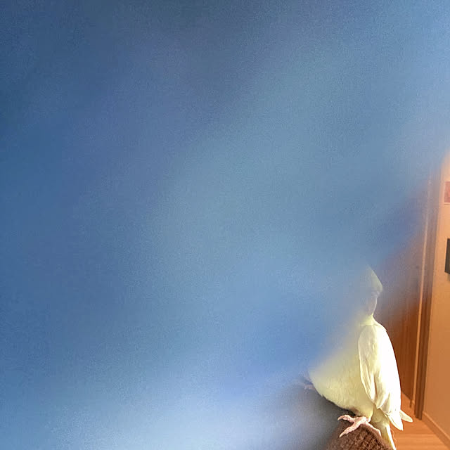 chicomaruさんの実例写真