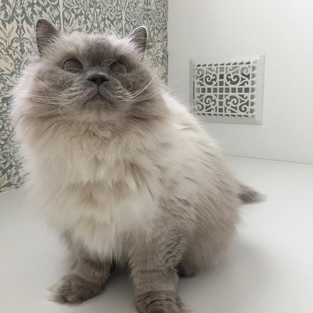 yuchiさんの実例写真