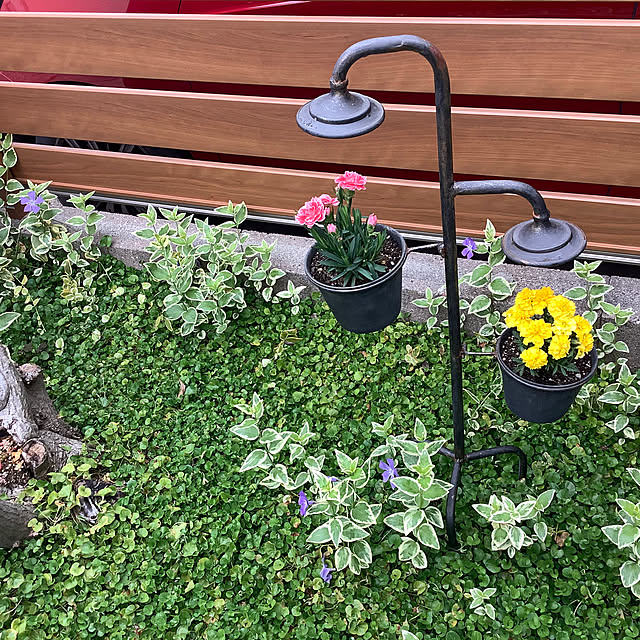 haruminさんの実例写真