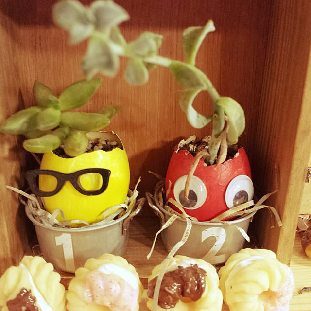 seiさんの実例写真