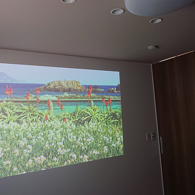 piro29さんの実例写真