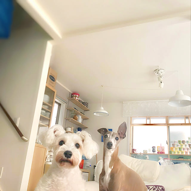 suzyさんの実例写真