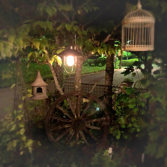 soraさんの実例写真