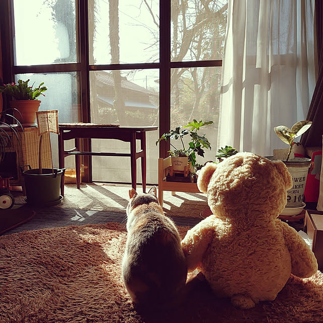 fukuさんの実例写真