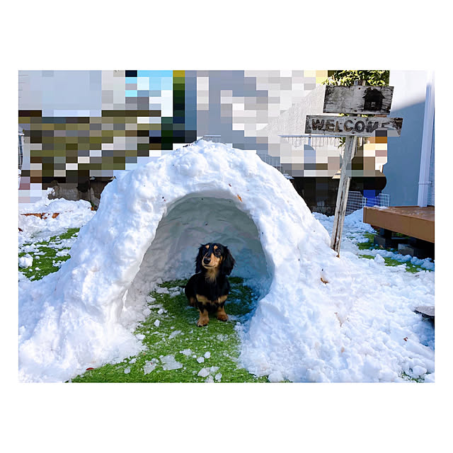 yukoさんの実例写真