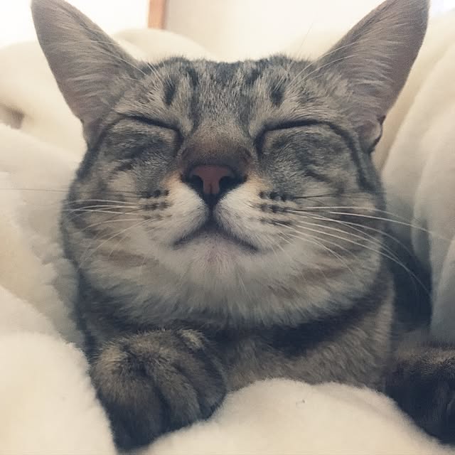 sayasさんの実例写真