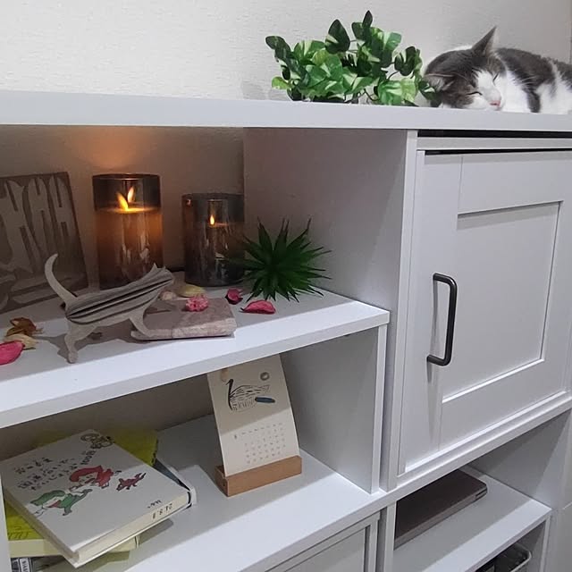 38catさんの部屋