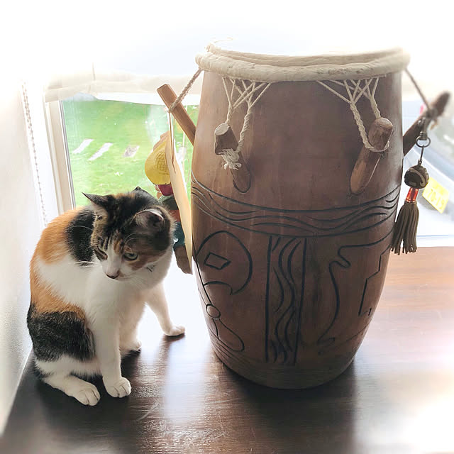 Maruさんの実例写真