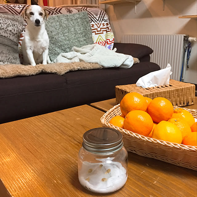 nanaさんの実例写真