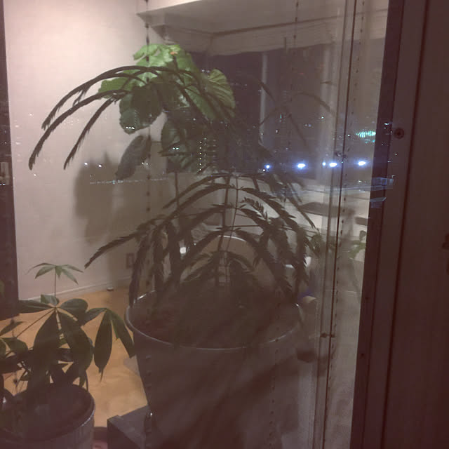 HKSさんの実例写真