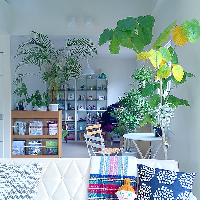 masami.hさんの実例写真