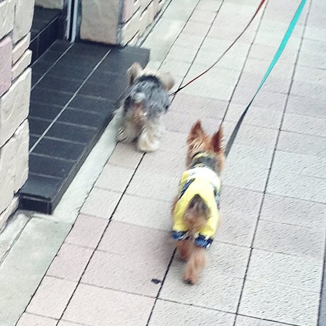 yuchinさんの実例写真