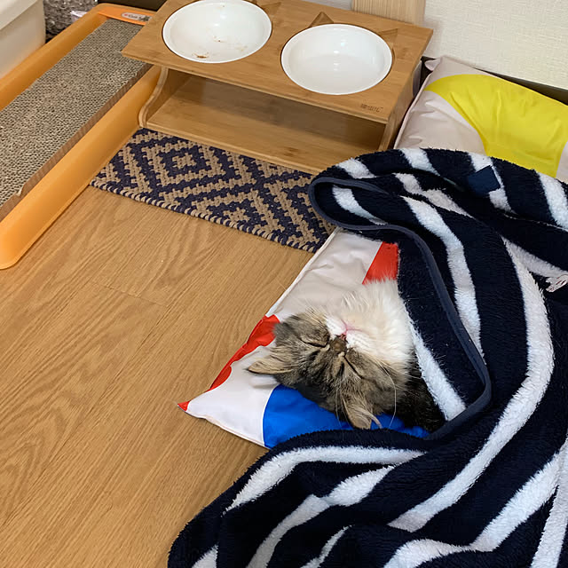 macさんの実例写真