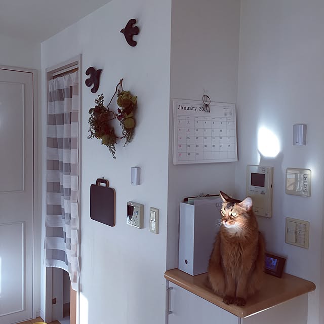 shihoさんの実例写真
