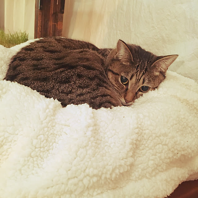 Mさんの実例写真