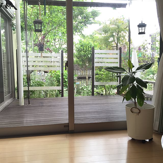 cherryさんの実例写真