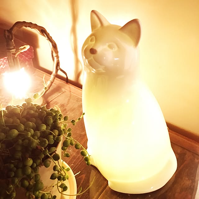 miraiさんの実例写真