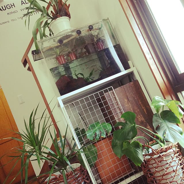 shs1019shsさんの実例写真
