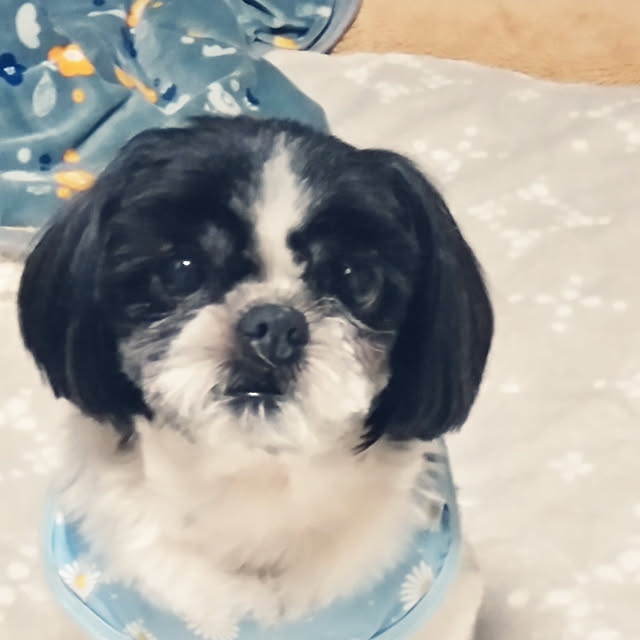 RANさんの実例写真