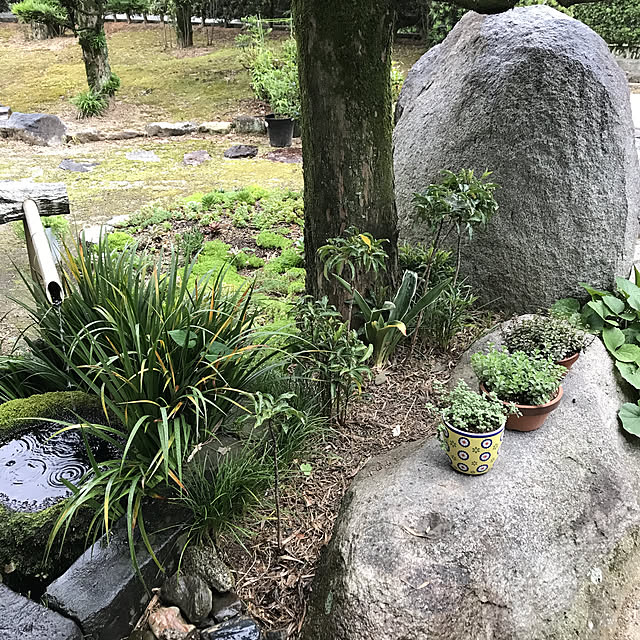 Sakuraさんの実例写真
