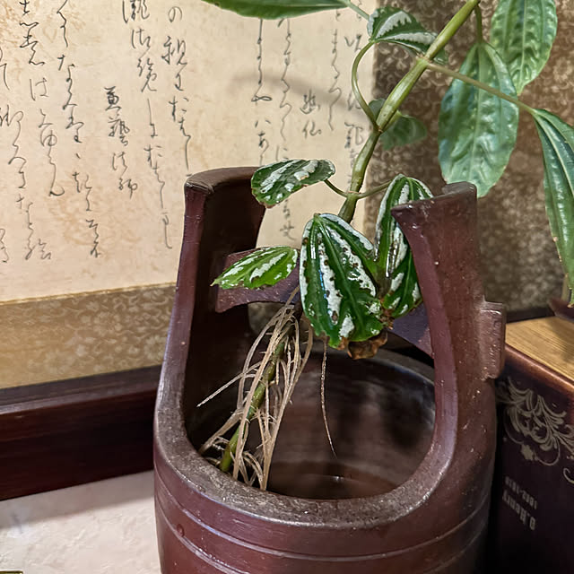 mamizaさんの部屋