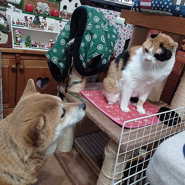 nanaさんの部屋