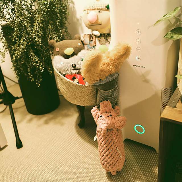 s.p.sunaoさんの実例写真