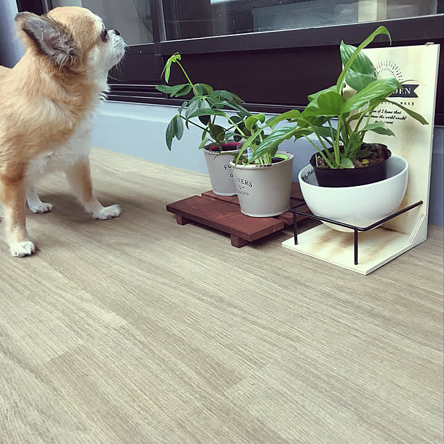 ai_qoo_hideさんの実例写真