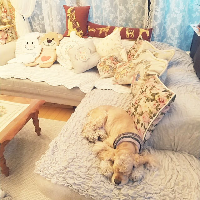soraさんの実例写真