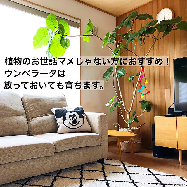 yama_no.ouchiさんの実例写真