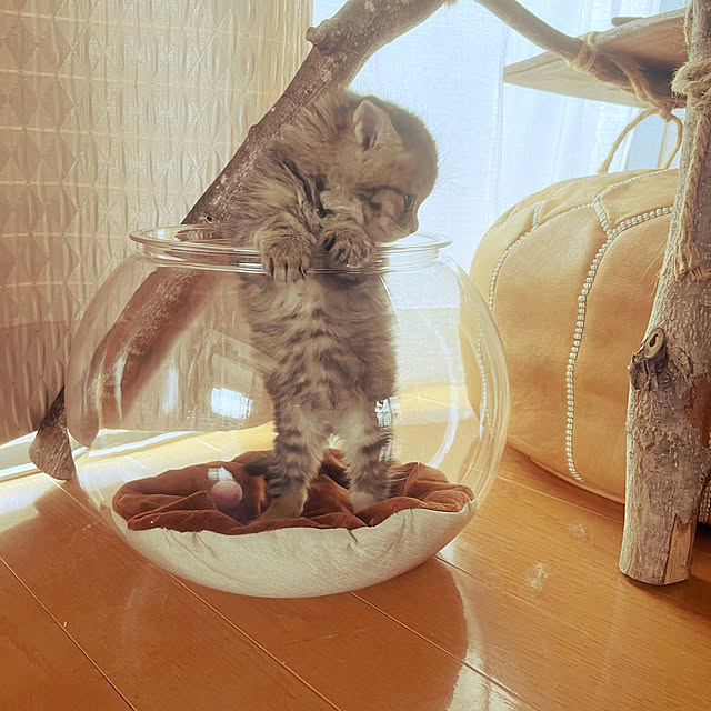 Mさんの部屋