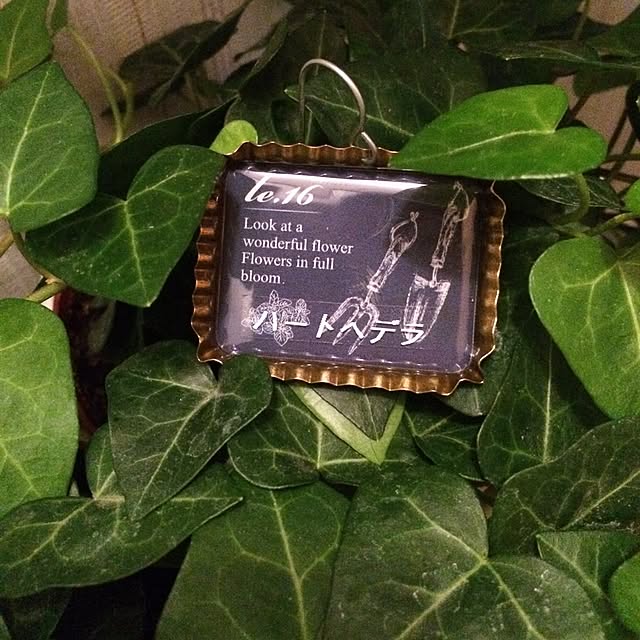 satominさんの実例写真