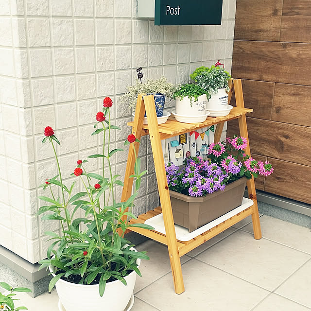 saichanさんの実例写真
