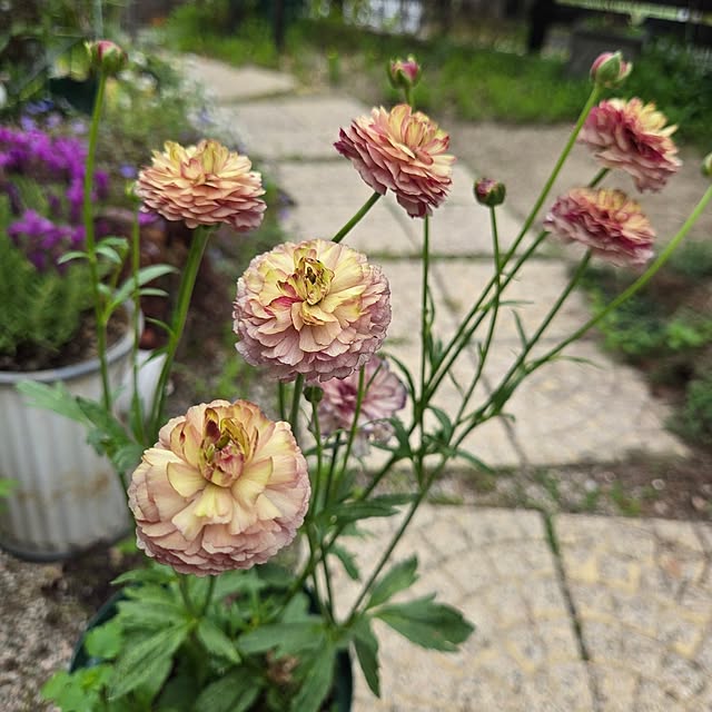 min_nimさんの実例写真