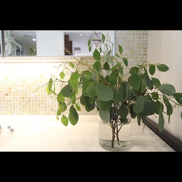 実例写真