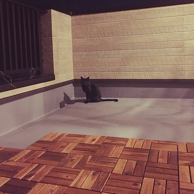 piyoさんの実例写真