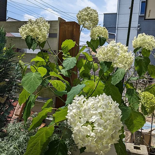 kazuさんの実例写真